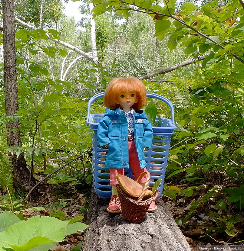 По грибы — Игровые куклы разных производителей (Разное): редкие бренды