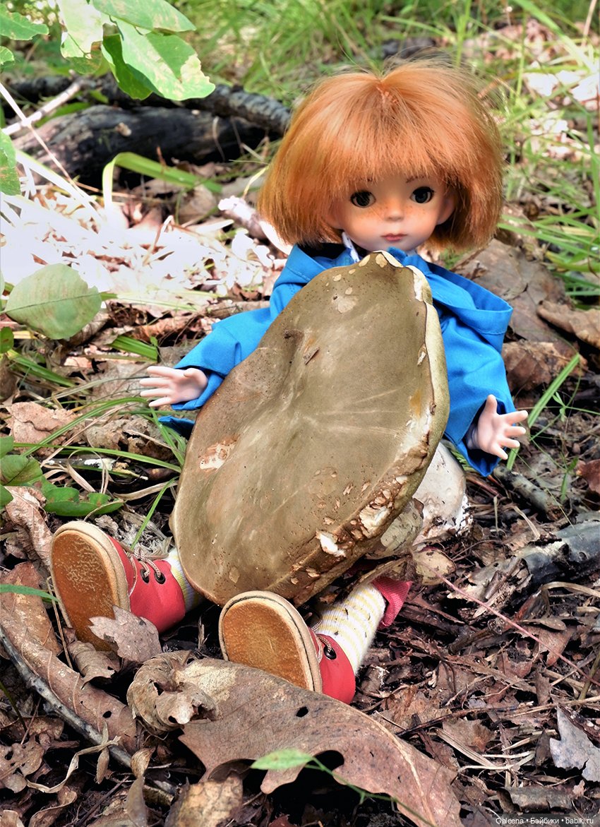 По грибы — Игровые куклы разных производителей (Разное): редкие бренды
