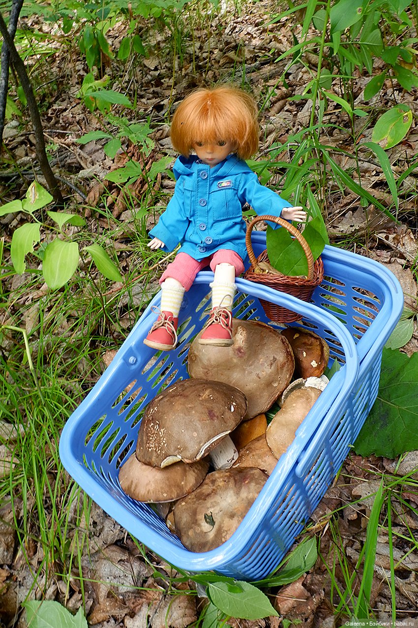 По грибы — Игровые куклы разных производителей (Разное): редкие бренды