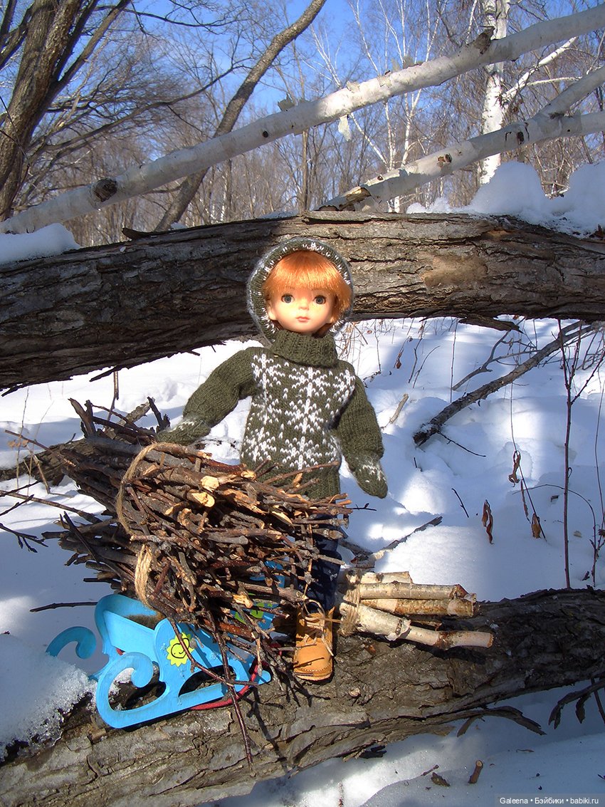 Костёр на снегу — Игровые куклы разных производителей (Разное): редкие бренды (фото 4)