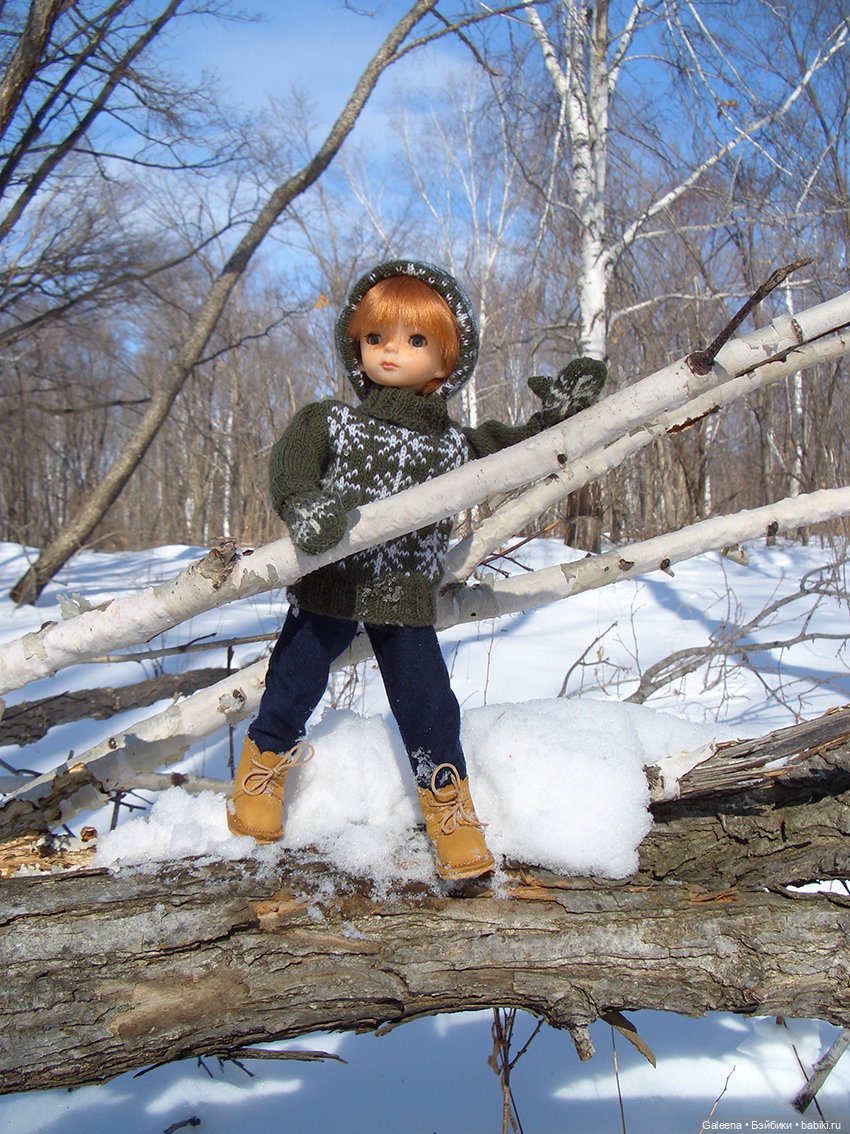 Костёр на снегу — Игровые куклы разных производителей (Разное): редкие бренды (фото 3)