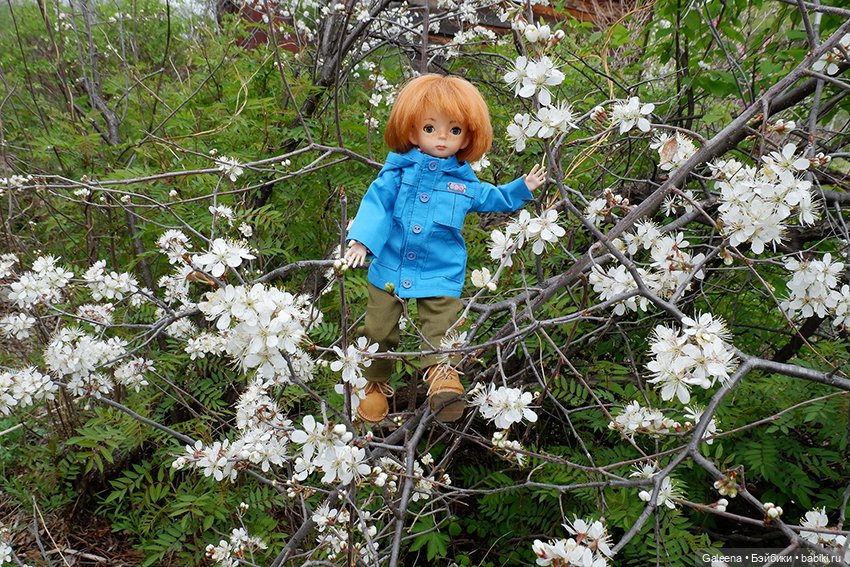 Когда цветёт черёмуха — Игровые куклы разных производителей (Разное): редкие бренды (фото 6)