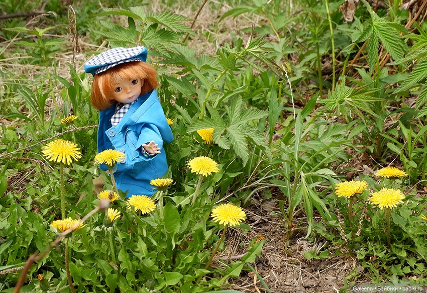 Когда цветёт черёмуха — Игровые куклы разных производителей (Разное): редкие бренды