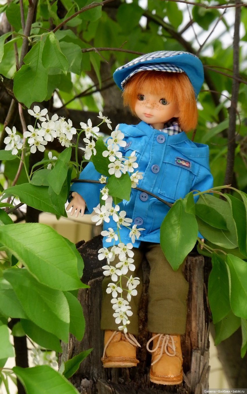 Когда цветёт черёмуха — Игровые куклы разных производителей (Разное): редкие бренды (фото 5)