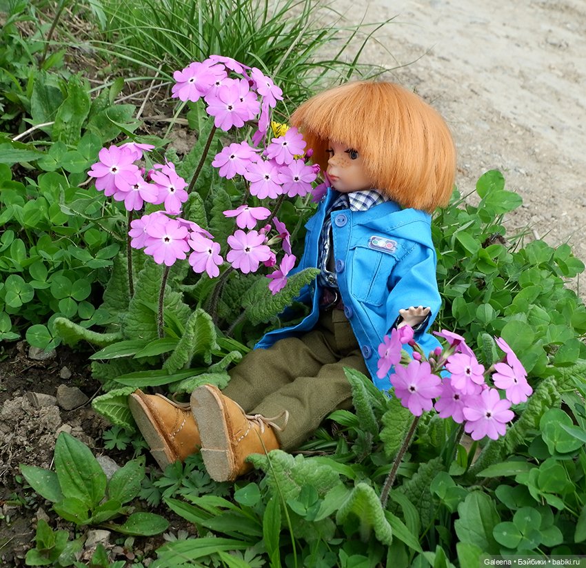 Когда цветёт черёмуха — Игровые куклы разных производителей (Разное): редкие бренды (фото 7)