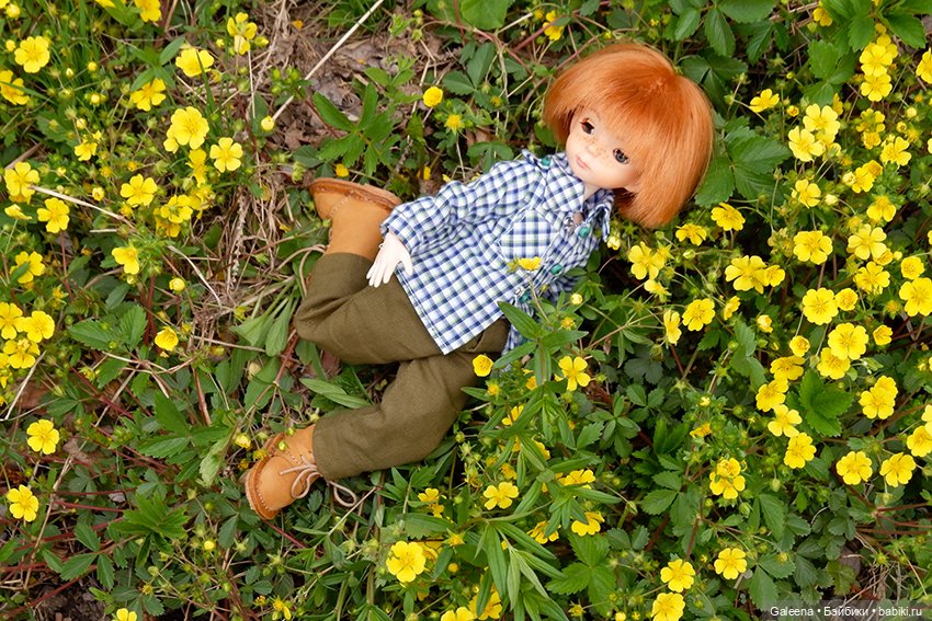 Когда цветёт черёмуха — Игровые куклы разных производителей (Разное): редкие бренды