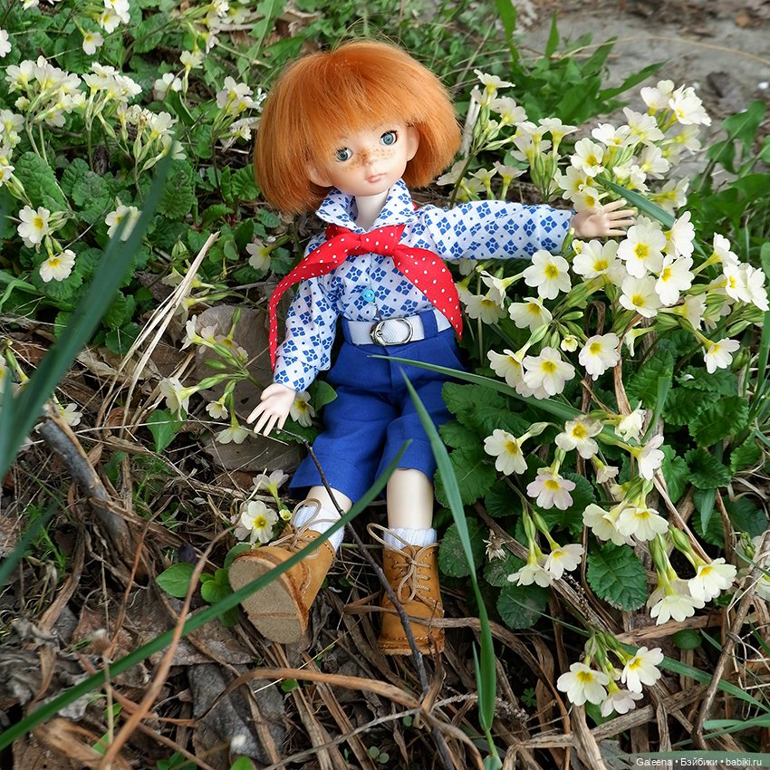 Когда цветёт черёмуха — Игровые куклы разных производителей (Разное): редкие бренды (фото 10)