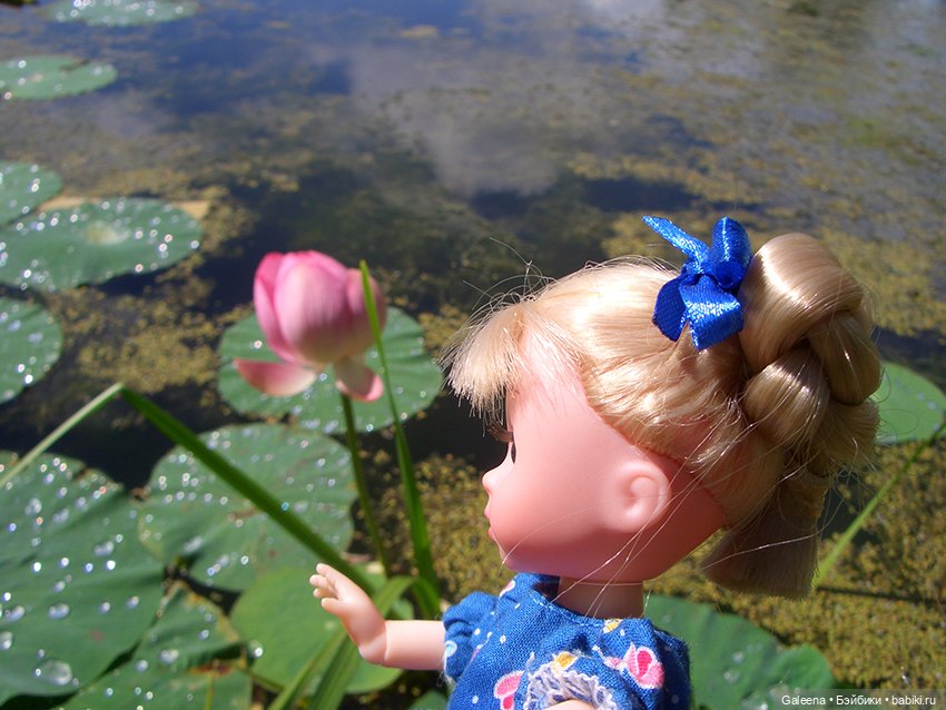 Лотосы Приморья — Игровые мини