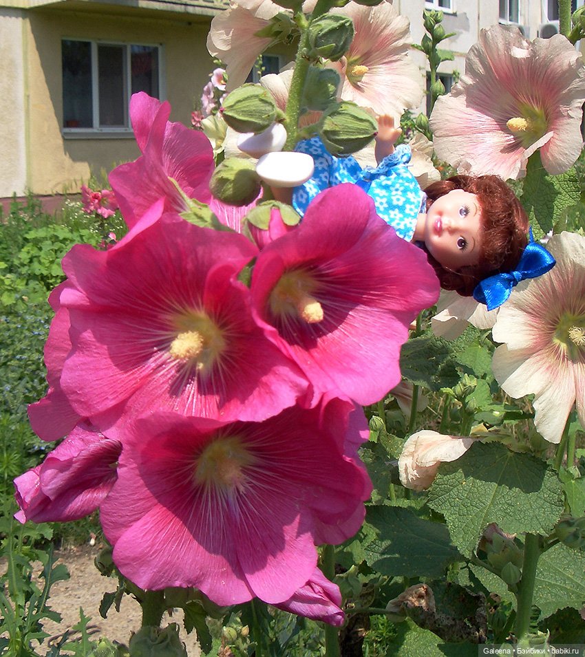 Ах, июль, макушка лета — Игровые мини (фото 5)