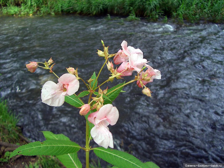 Ах, июль, макушка лета — Игровые мини (фото 9)