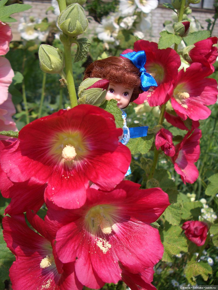 Ах, июль, макушка лета — Игровые мини (фото 4)