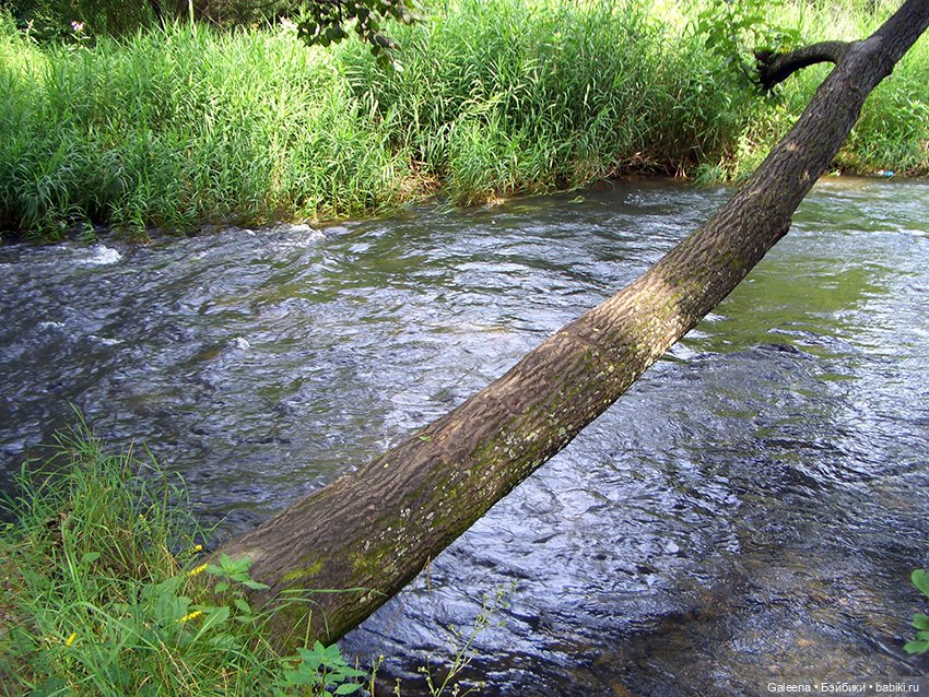 Ах, июль, макушка лета — Игровые мини (фото 8)