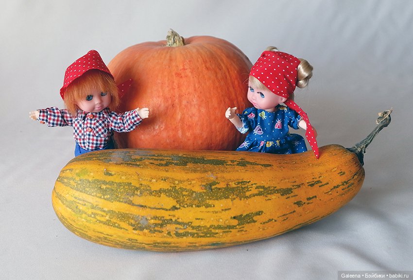 Хэллоуин будет завтра. А сегодня у нас День Тыквы с Кабачком