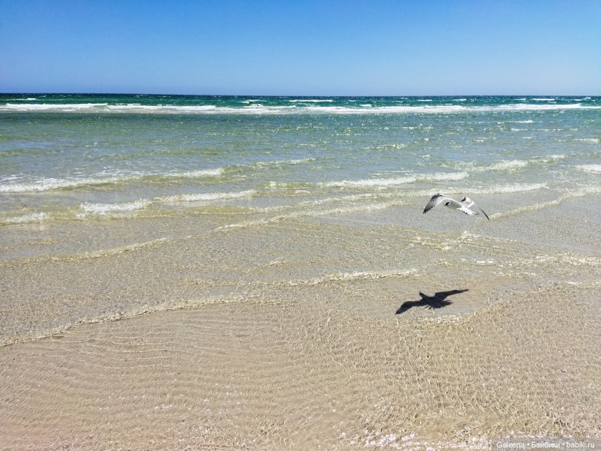 Однажды ... надцать лет спустя. Часть 1: С Сашенькой на море
