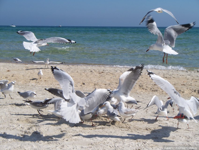 Однажды ... надцать лет спустя. Часть 1: С Сашенькой на море
