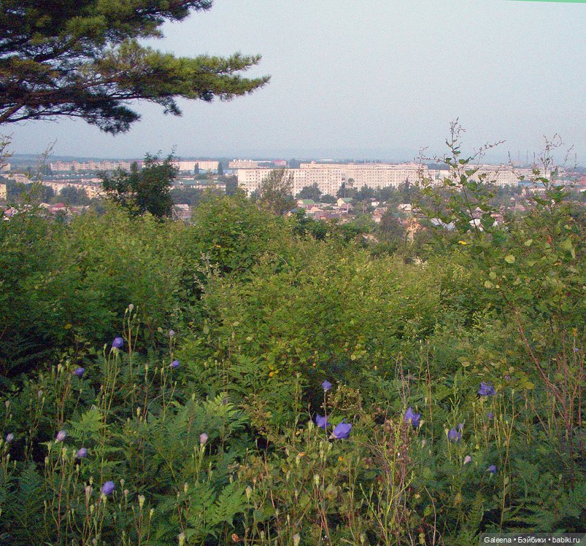 Колокольчики мои — Игровые куклы разных производителей (Разное): редкие бренды (фото 7)