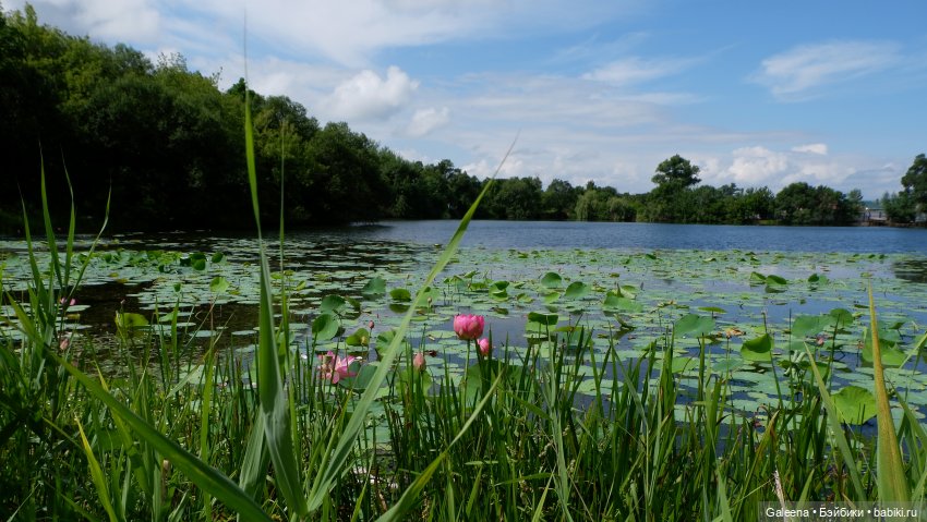 Рождённая из лотоса — Одежда и обувь для кукол своими руками: фото
