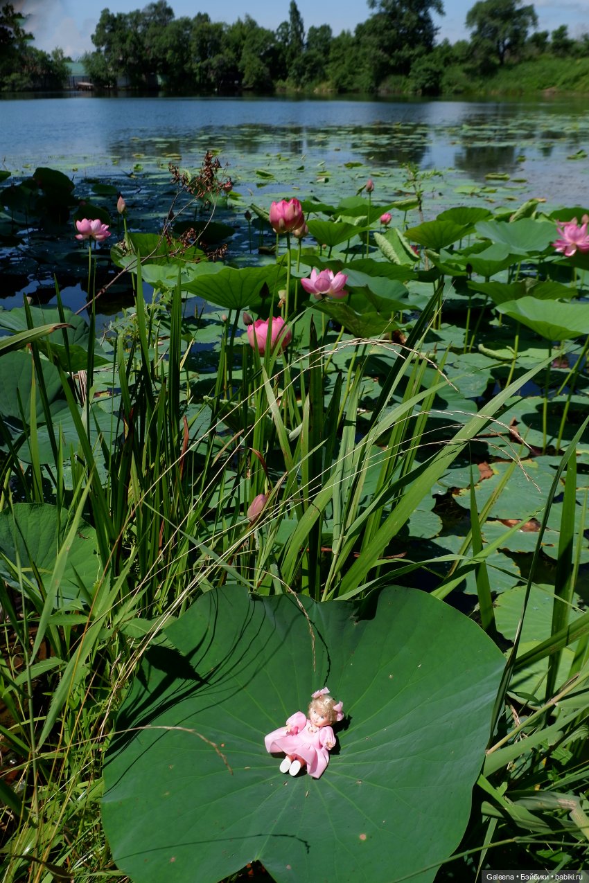 Рождённая из лотоса — Одежда и обувь для кукол своими руками: фото