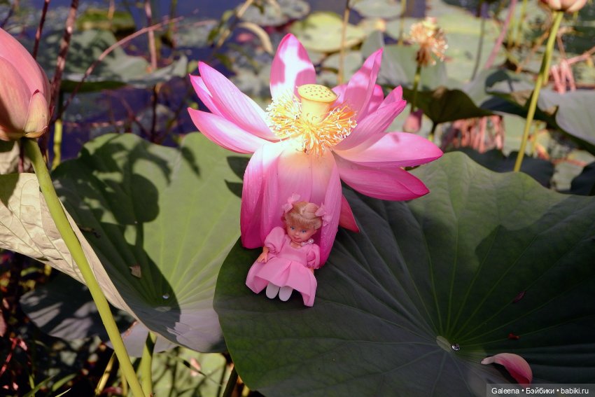 Рождённая из лотоса — Одежда и обувь для кукол своими руками: фото