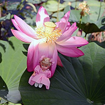 Рождённая из лотоса