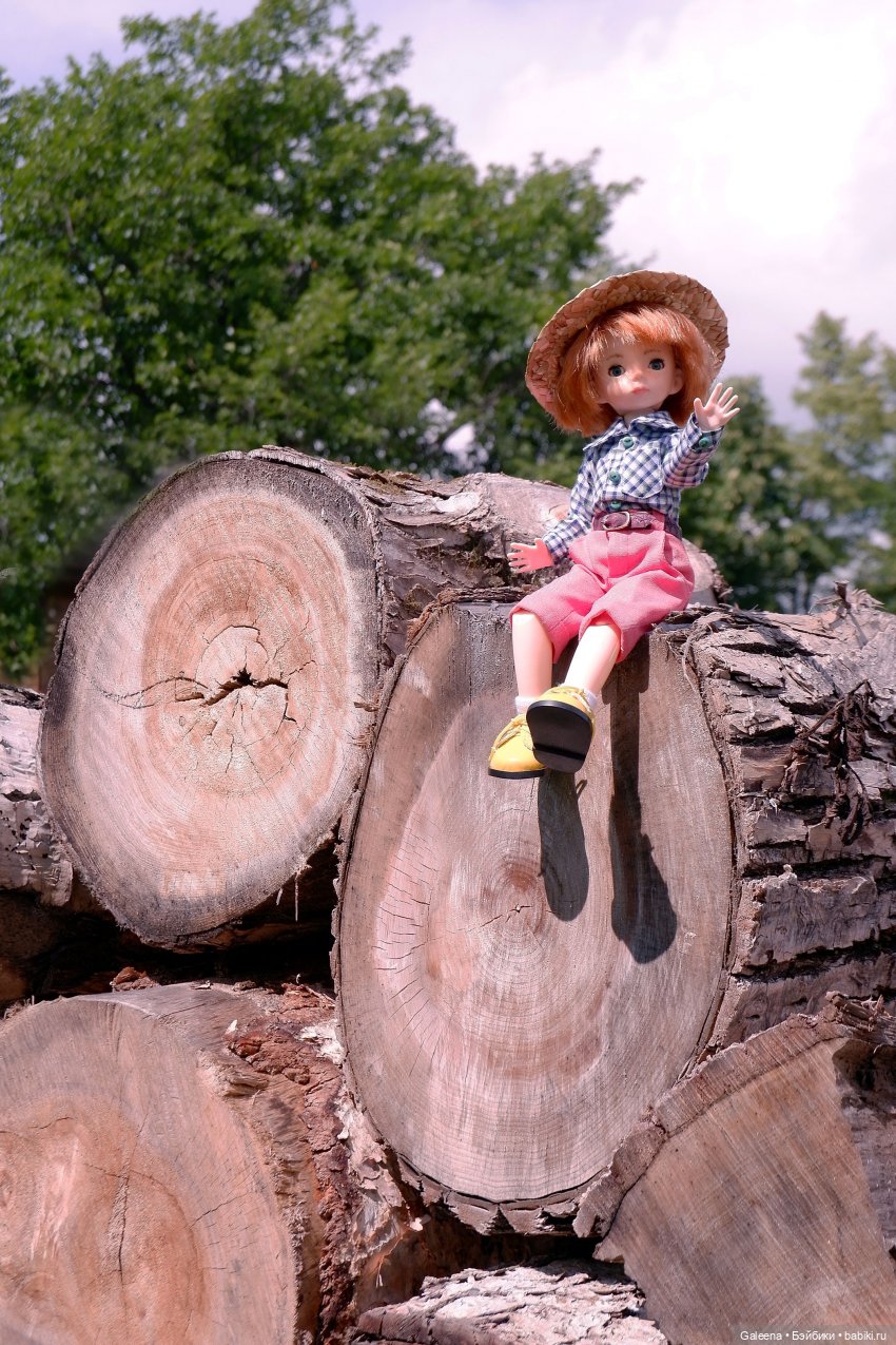 За телегой — Игровые куклы разных производителей (Разное): редкие бренды (фото 5)