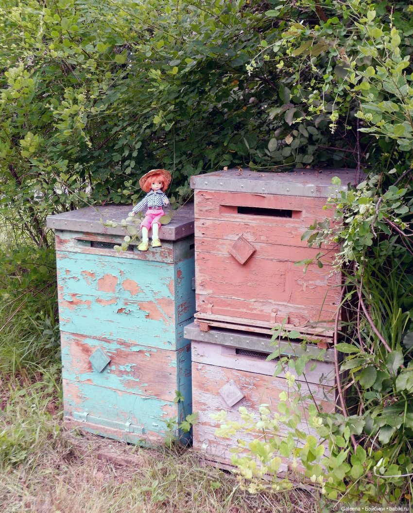 За телегой — Игровые куклы разных производителей (Разное): редкие бренды (фото 3)