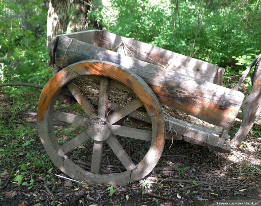 За телегой — Игровые куклы разных производителей (Разное): редкие бренды