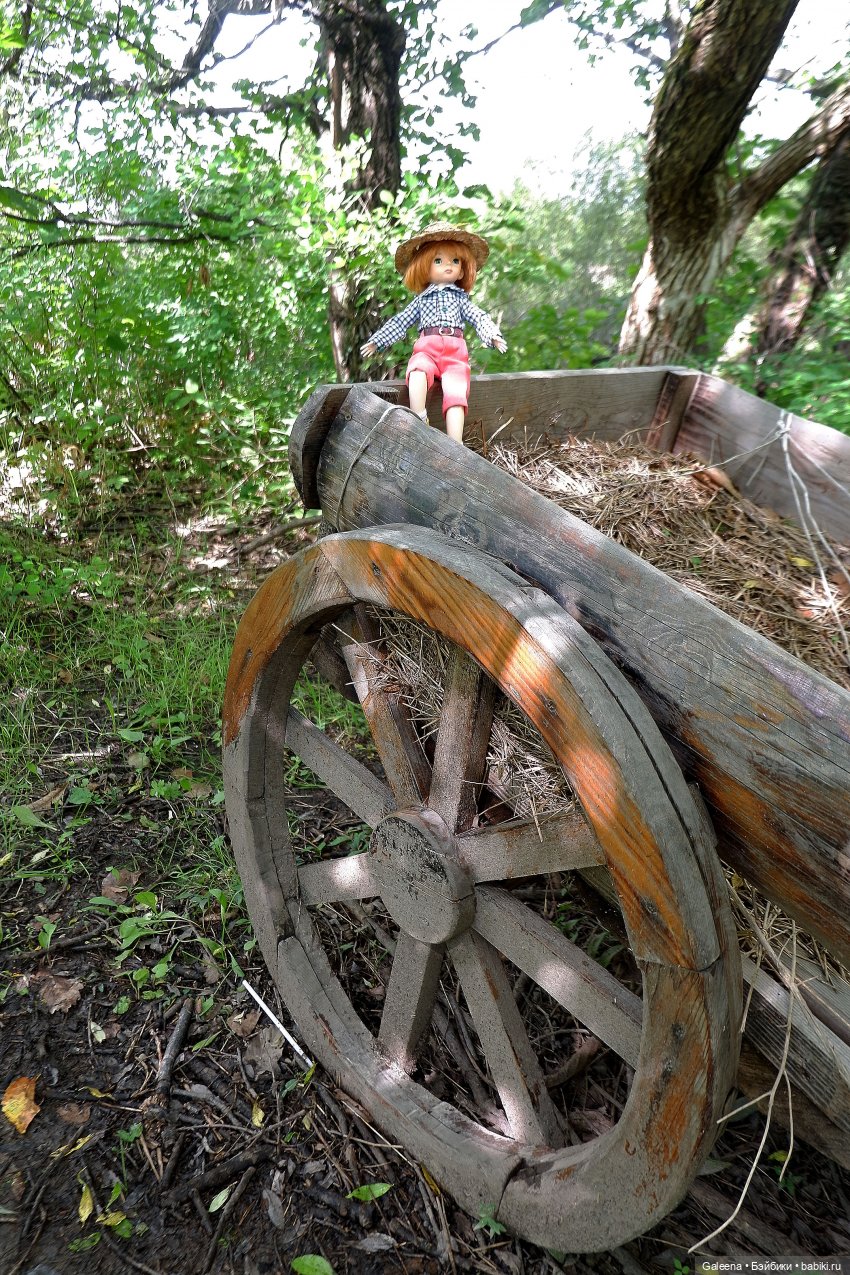 За телегой — Игровые куклы разных производителей (Разное): редкие бренды