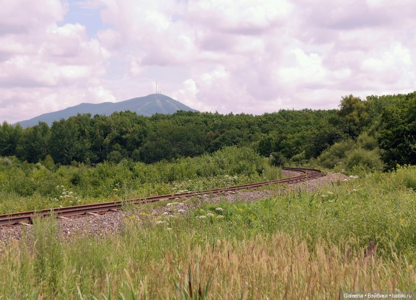 За телегой — Игровые куклы разных производителей (Разное): редкие бренды
