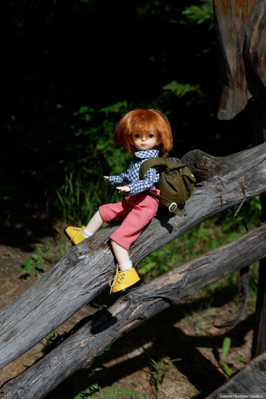 За телегой — Игровые куклы разных производителей (Разное): редкие бренды