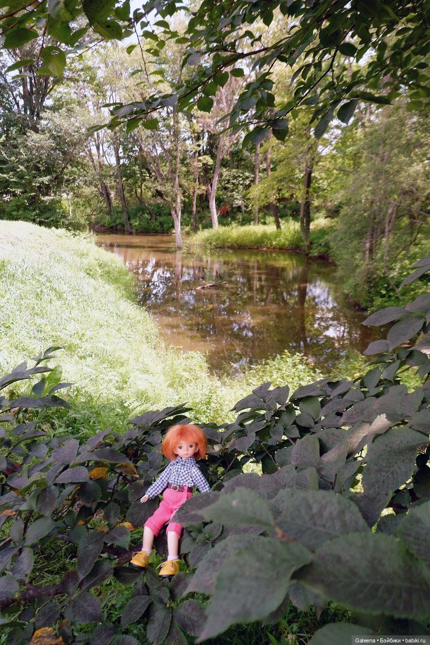 За телегой — Игровые куклы разных производителей (Разное): редкие бренды