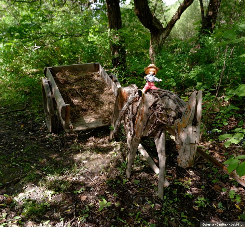 За телегой — Игровые куклы разных производителей (Разное): редкие бренды