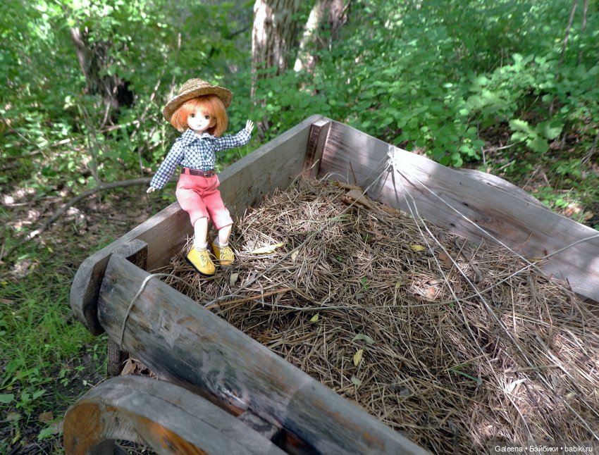 За телегой — Игровые куклы разных производителей (Разное): редкие бренды