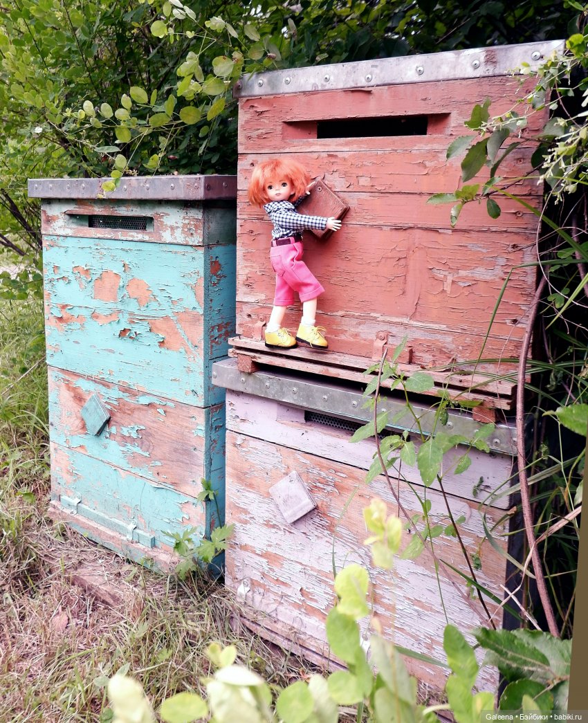 За телегой — Игровые куклы разных производителей (Разное): редкие бренды (фото 4)