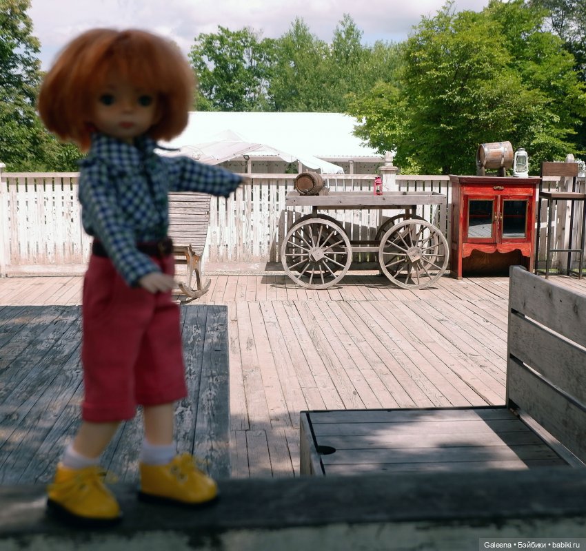 За телегой — Игровые куклы разных производителей (Разное): редкие бренды