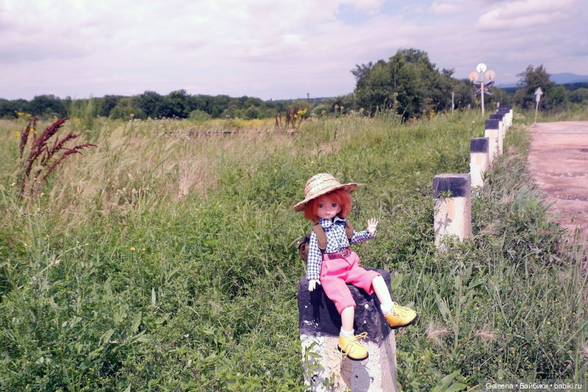 За телегой — Игровые куклы разных производителей (Разное): редкие бренды