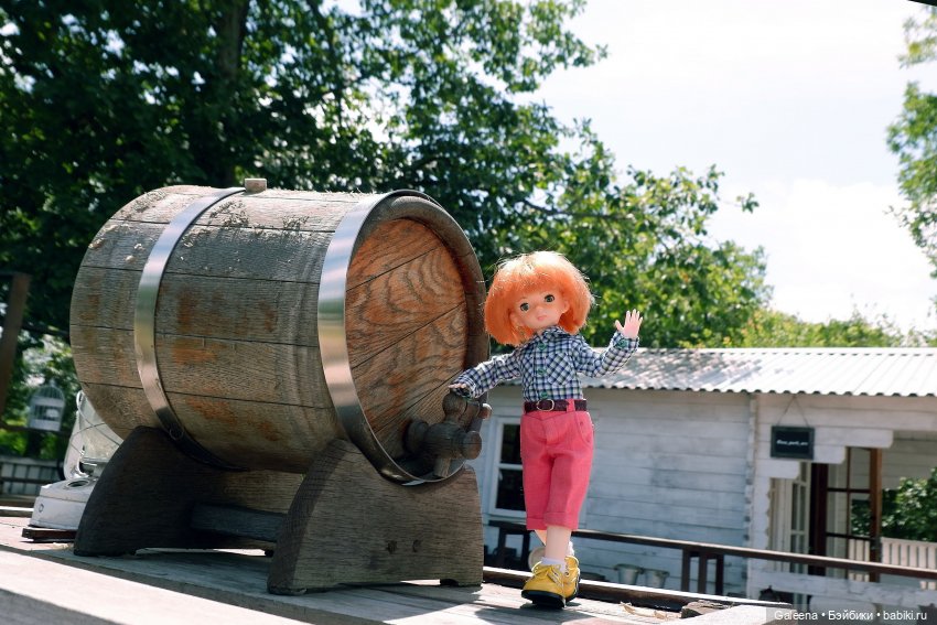 За телегой — Игровые куклы разных производителей (Разное): редкие бренды