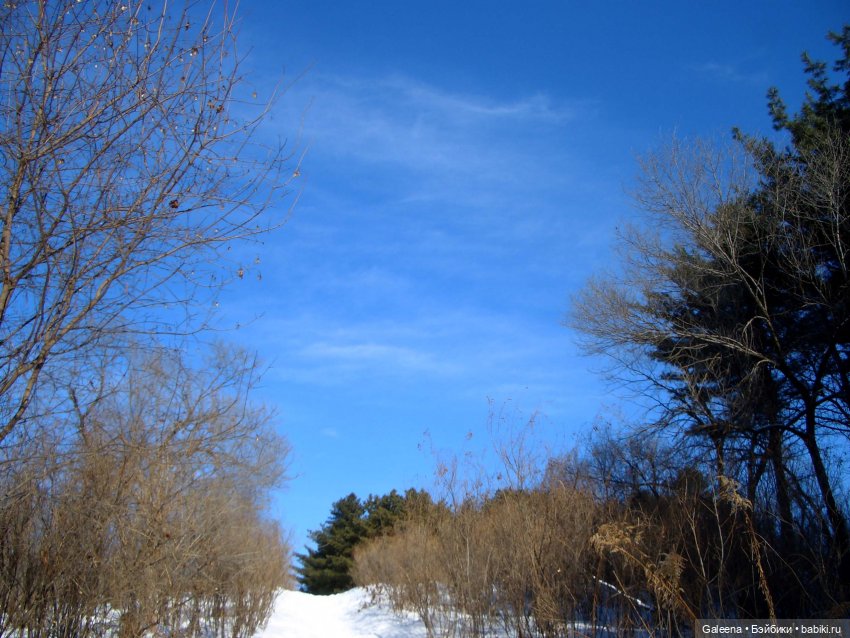 Пока зима от нас ещё не убежала