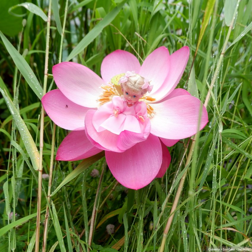 Привет от Лотосовой феи — Другие мини (фото 9)