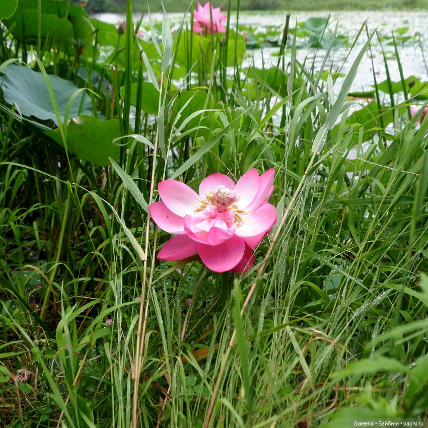 Привет от Лотосовой феи — Другие мини (фото 7)