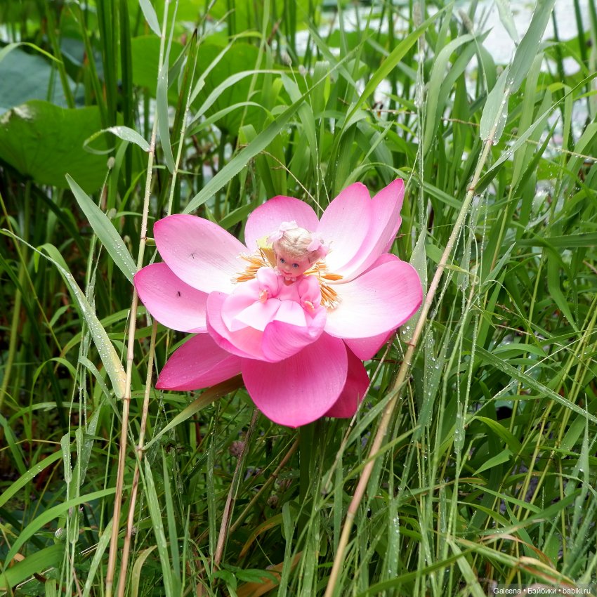 Привет от Лотосовой феи — Другие мини (фото 8)