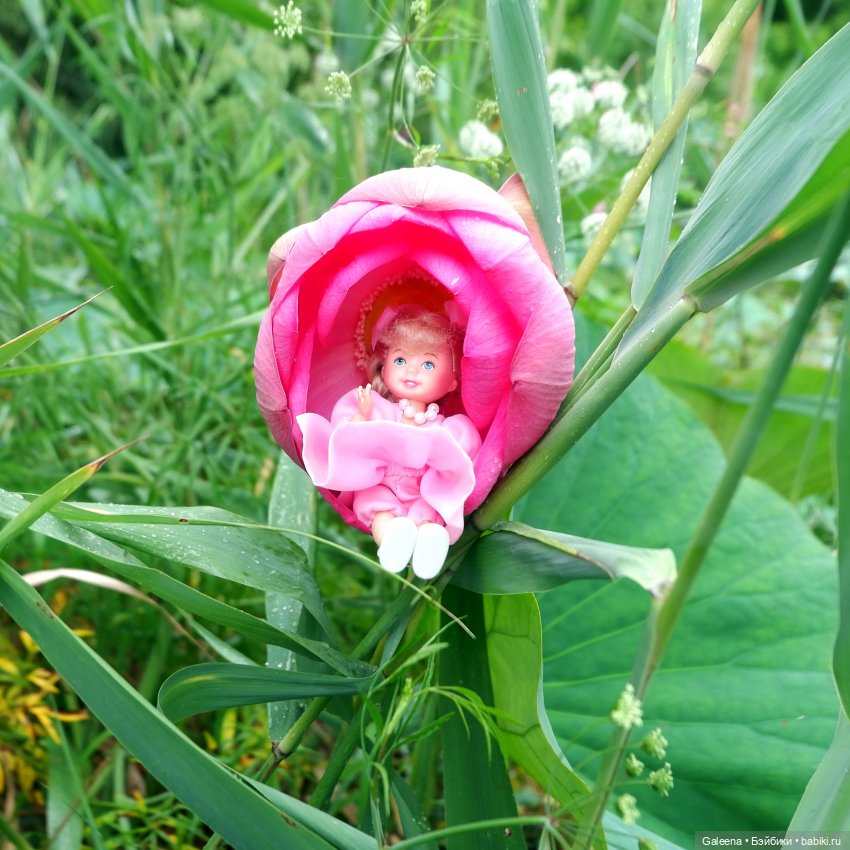 Привет от Лотосовой феи — Другие мини (фото 6)