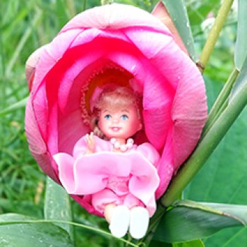 Привет от Лотосовой феи!