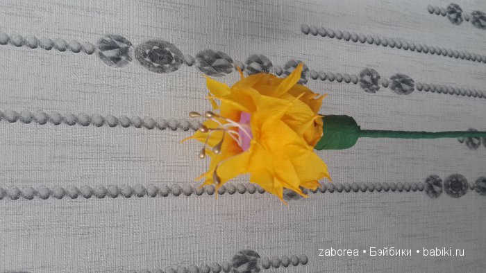 Снова школа! А вы готовы — Другие хобби и увлечения: сад (фото 4)