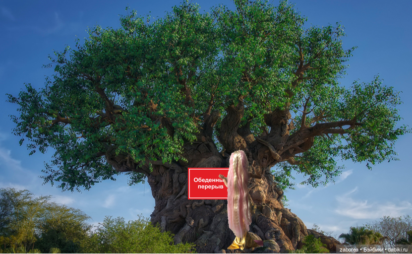 Фото-сериал "Брачное агентство "Я.Г.А" Серия 7 (фото 3)