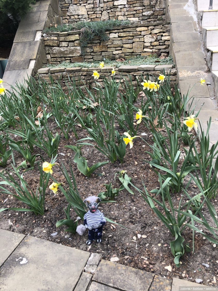 Как хухлик Шмуэль на море ездил