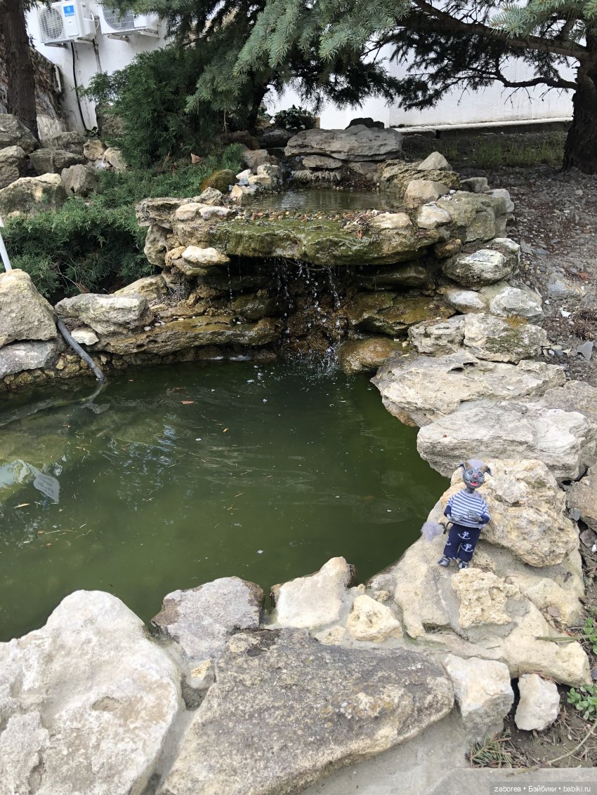 Как хухлик Шмуэль на море ездил (фото 9)