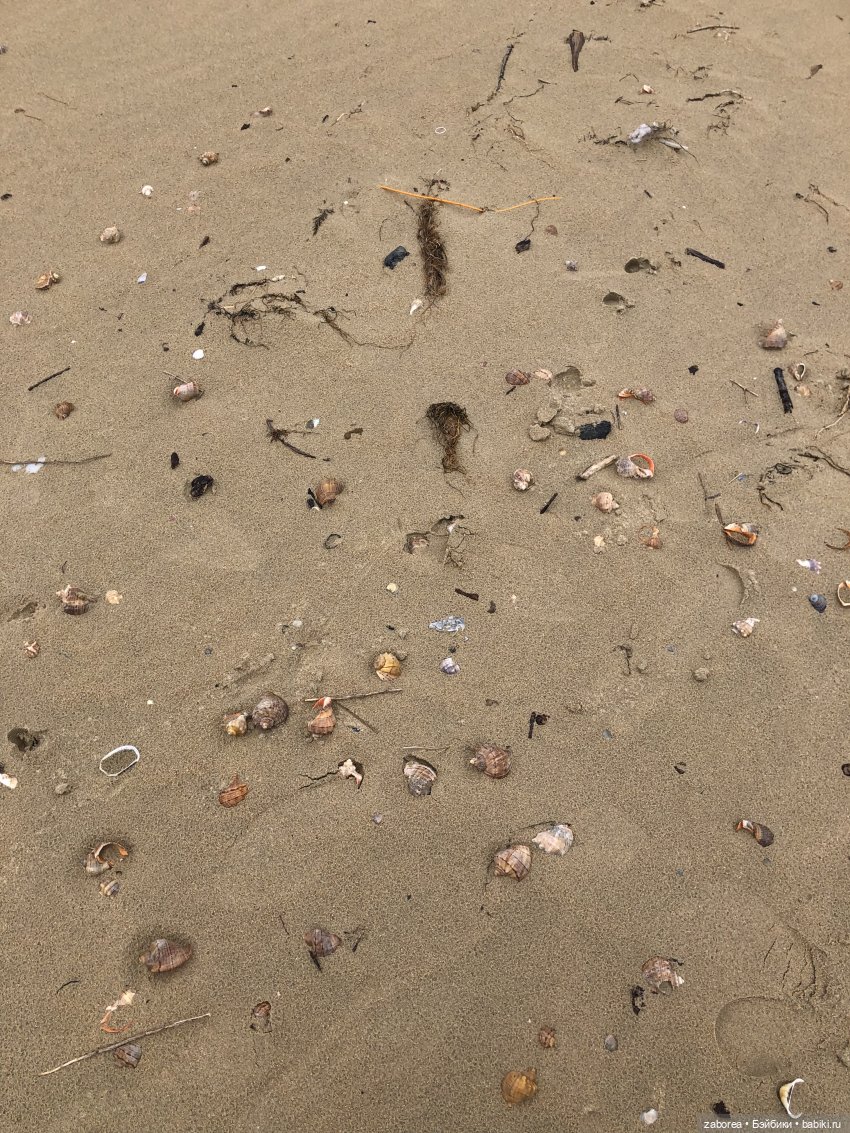 Как хухлик Шмуэль на море ездил