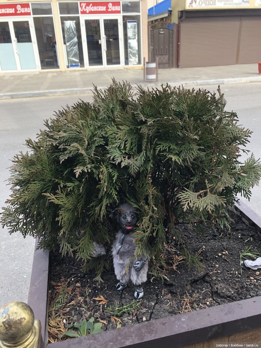 Как хухлик Шмуэль на море ездил (фото 4)