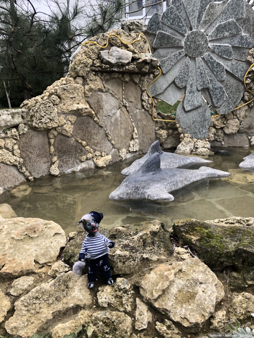 Как хухлик Шмуэль на море ездил (фото 8)